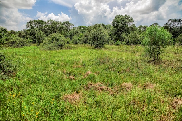 1865 County Road 114, Garwood, TX 77442 - photo 21
