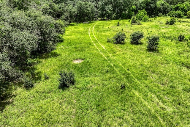 1865 County Road 114, Garwood, TX 77442 - photo 22