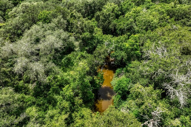 1865 County Road 114, Garwood, TX 77442 - photo 3