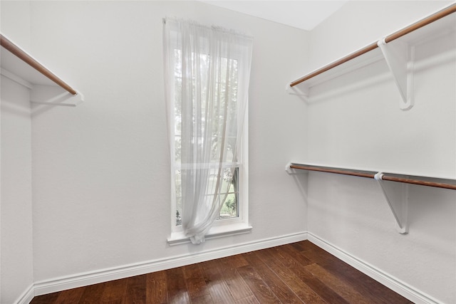 1711 Alcorn Bayou Dr, Sugar Land, TX 77479 - spacious closet featuring dark wood finished floors