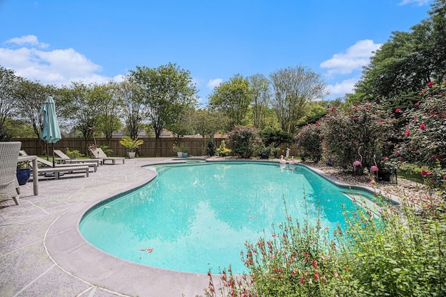 3611 18th St N, Texas City, TX 77590 - view of swimming pool featuring a patio area and a fenced backyard
