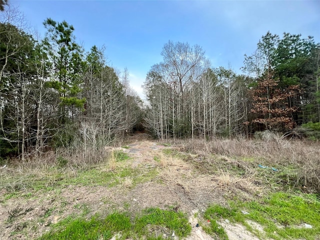 19571 Fm 1314th Rd, Porter, TX 77365