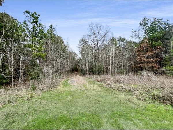 19571 Fm 1314th Rd, Porter, TX 77365