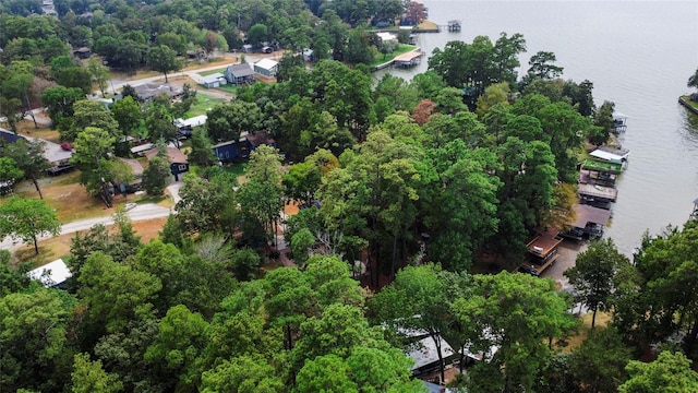 236 Fern, Livingston, TX 77351 - aerial view of property and surrounding area featuring a nearby body of water
