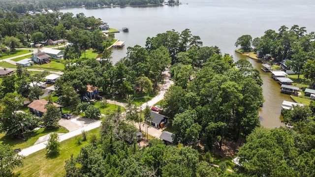 236 Fern, Livingston, TX 77351 - aerial view of property and surrounding area featuring a nearby body of water