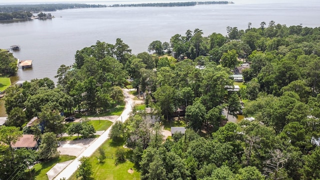 236 Fern, Livingston, TX 77351 - aerial view of property's location featuring a nearby body of water