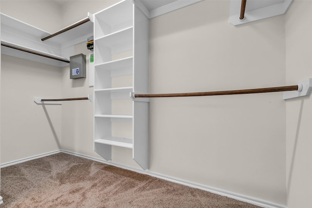 3510 Orchard Valley Ln, Spring, TX 77386 - spacious closet featuring carpet