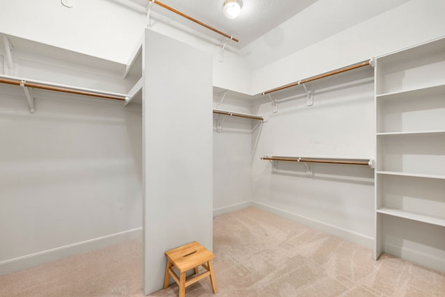 21510 Briar Landing Ln, Katy, TX 77450 - spacious closet with carpet flooring