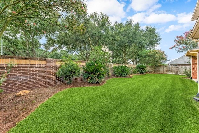 21510 Briar Landing Ln, Katy, TX 77450 - view of fenced backyard