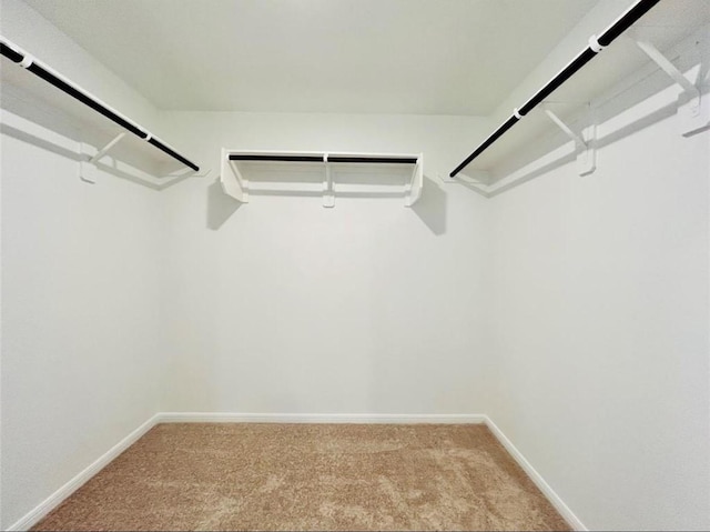 1009 Laguna Cove Dr, Katy, TX 77493 - spacious closet featuring light carpet