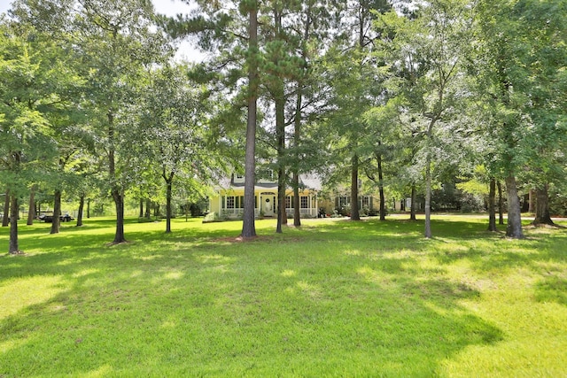 26718 Stagecoach Crossing Dr, Magnolia, TX 77355 - photo 4