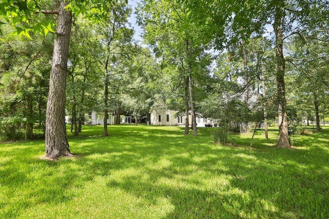 26718 Stagecoach Crossing Dr, Magnolia, TX 77355 - photo 40