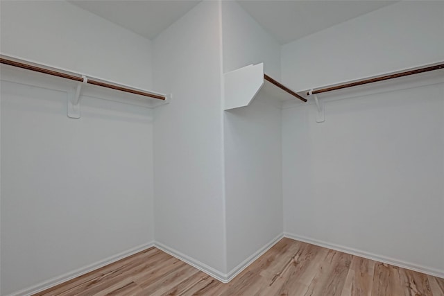 22156 Juniper Crossing Dr, New Caney, TX 77357 - spacious closet featuring light wood-type flooring