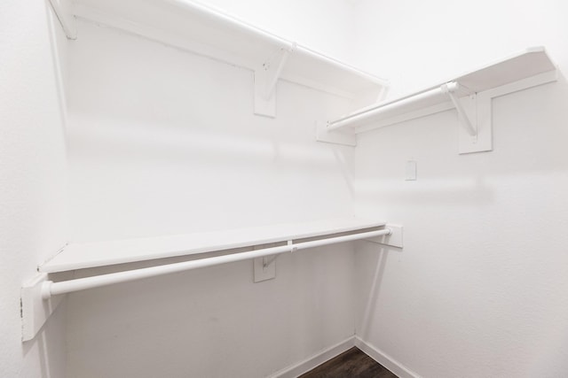 20411 Avery Point Dr, Katy, TX 77449 - spacious closet featuring dark wood finished floors