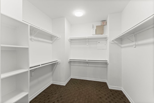 817 Rosine St, Houston, TX 77019 - view of spacious closet