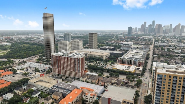 817 Rosine St, Houston, TX 77019 - view of city