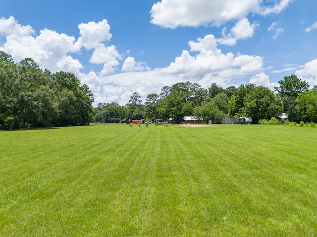 15091 Fm 1485th Rd, Conroe, TX 77306 - photo 4