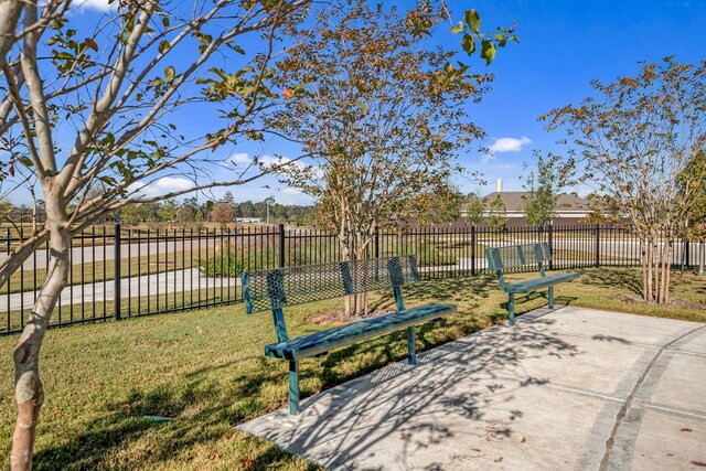 16453 Blossom Grove Dr, Conroe, TX 77303 - photo 12