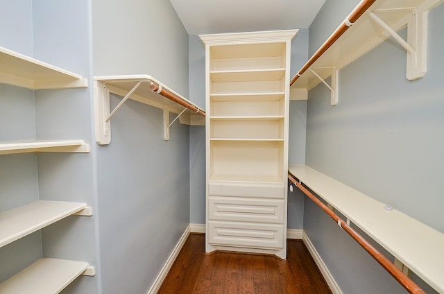 28722 Maple Red Dr, Katy, TX 77494 - walk in closet featuring dark wood finished floors