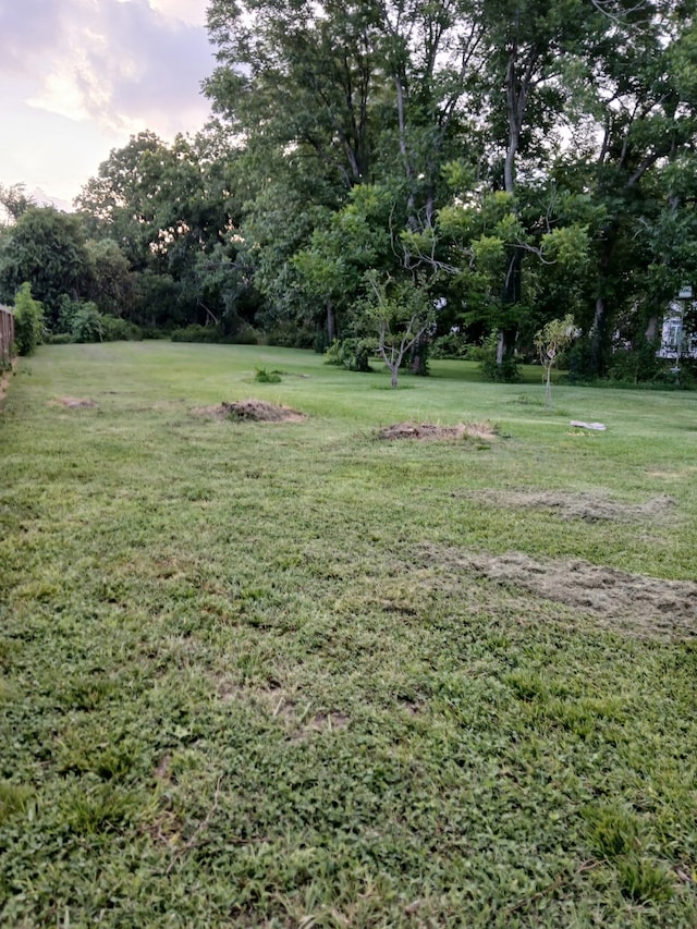 5907 Knox St, Houston, TX 77091
