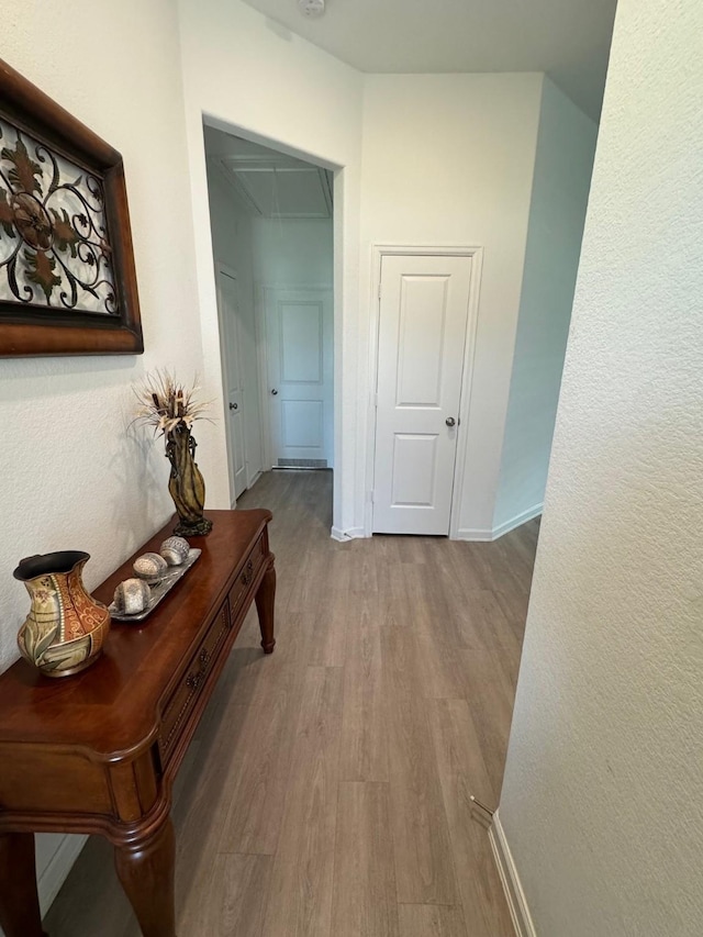 24223 Palomino Sage Trl, Katy, TX 77493 - photo 9