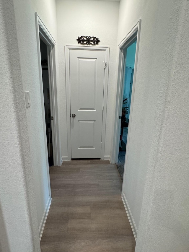 24223 Palomino Sage Trl, Katy, TX 77493 - corridor featuring dark wood finished floors and baseboards