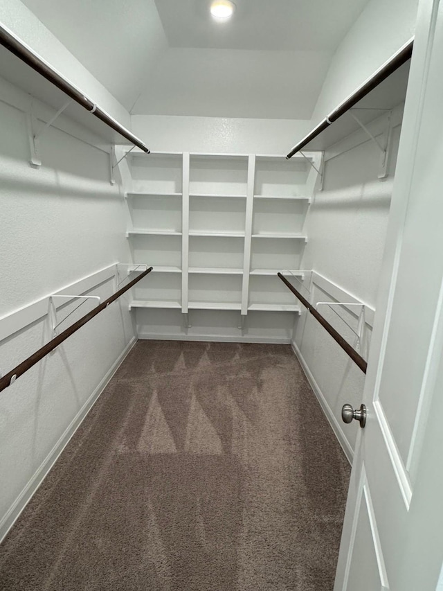 24223 Palomino Sage Trl, Katy, TX 77493 - spacious closet featuring dark colored carpet and vaulted ceiling