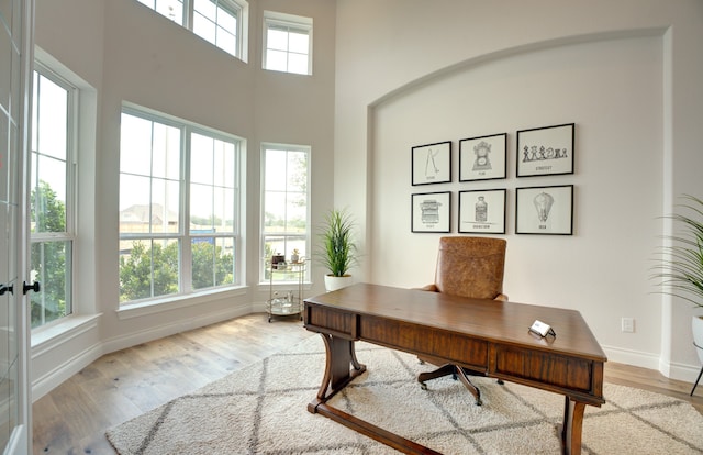 12607 Smokey Sunset Ct, Cypress, TX 77433 - office space featuring wood finished floors and a towering ceiling