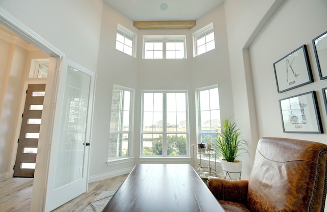 12607 Smokey Sunset Ct, Cypress, TX 77433 - interior space featuring plenty of natural light, a towering ceiling, and wood finished floors