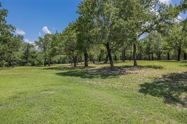 3135 Forest Hill E Rd, La Grange, TX 78945 - view of grassy yard