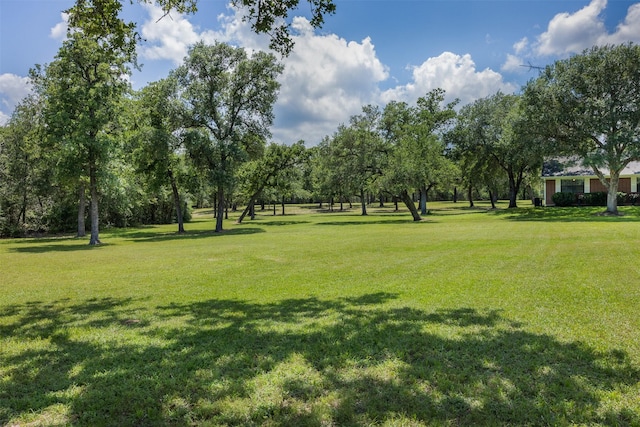 3135 Forest Hill E Rd, La Grange, TX 78945 - view of home's community with a yard
