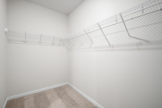384 Tejas Trl, Waller, TX 77484 - spacious closet featuring carpet flooring