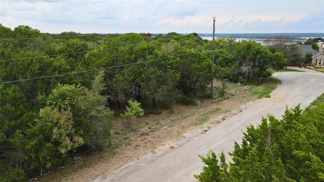 3039 Ash Ct, Whitney, TX 76692