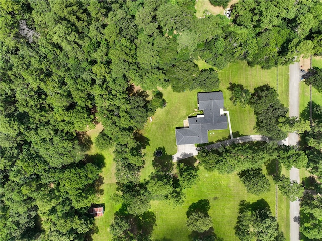 33933 Deer Creek Way, Stagecoach, TX 77355 - bird's eye view
