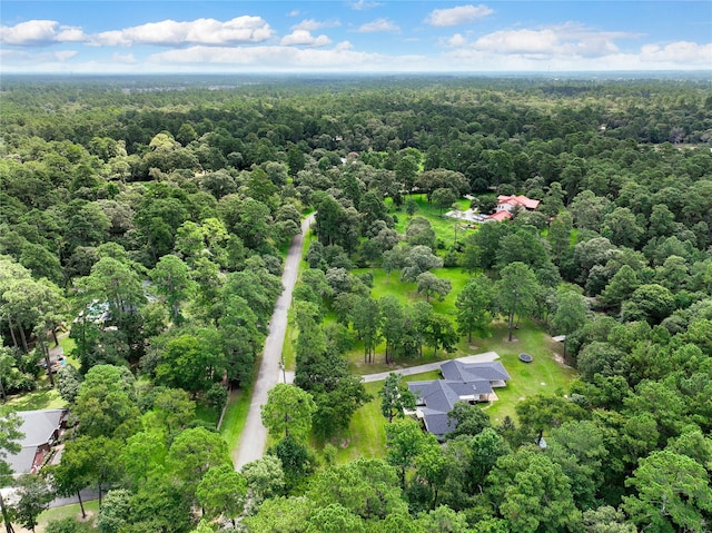 33933 Deer Creek Way, Stagecoach, TX 77355 - aerial overview of property's location with a heavily wooded area