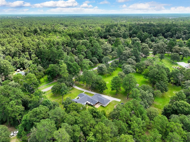 33933 Deer Creek Way, Stagecoach, TX 77355 - drone / aerial view of a forest