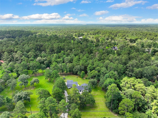 33933 Deer Creek Way, Stagecoach, TX 77355 - aerial view of a heavily wooded area