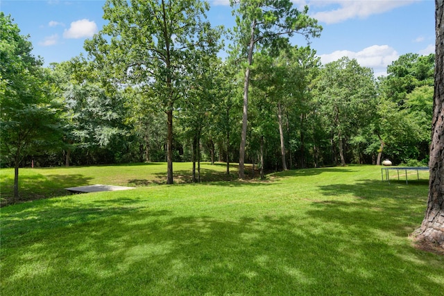 33933 Deer Creek Way, Stagecoach, TX 77355 - view of grassy yard with a trampoline
