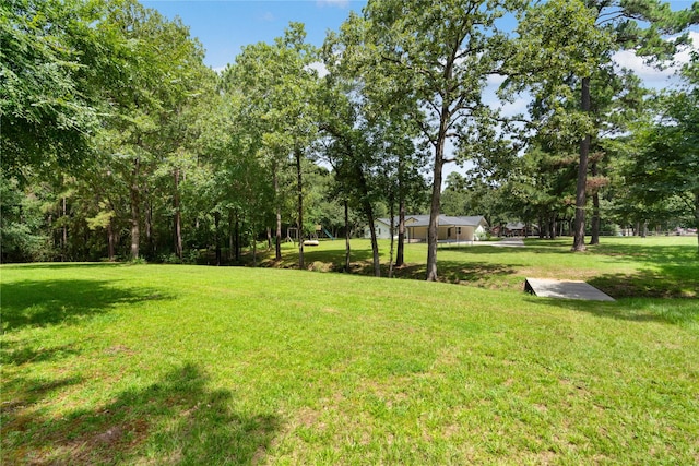 33933 Deer Creek Way, Stagecoach, TX 77355 - view of grassy yard featuring view of wooded area