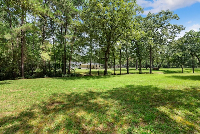 33933 Deer Creek Way, Stagecoach, TX 77355 - view of grassy yard