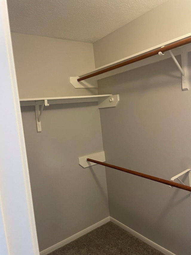 9311 Rippling Fields Dr, Houston, TX 77064 - walk in closet with dark carpet
