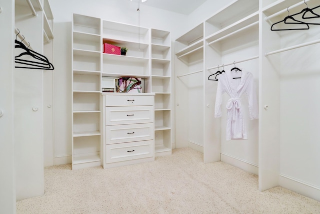 1022 W 22nd St, Houston, TX 77008 - view of walk in closet