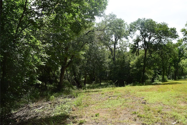 0 County Road 121, Rosharon, TX 77583 - photo 12
