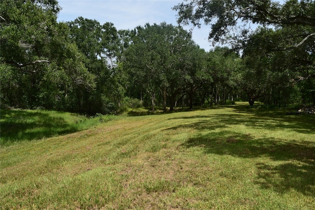 0 County Road 121, Rosharon, TX 77583 - photo 2