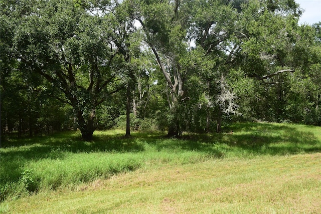 0 County Road 121, Rosharon, TX 77583 - photo 3