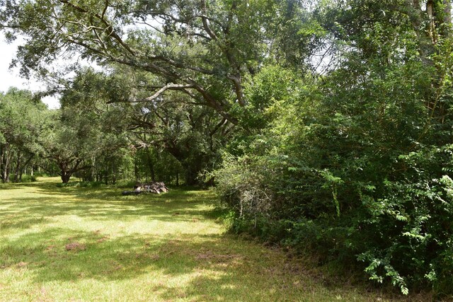 0 County Road 121, Rosharon, TX 77583 - photo 4