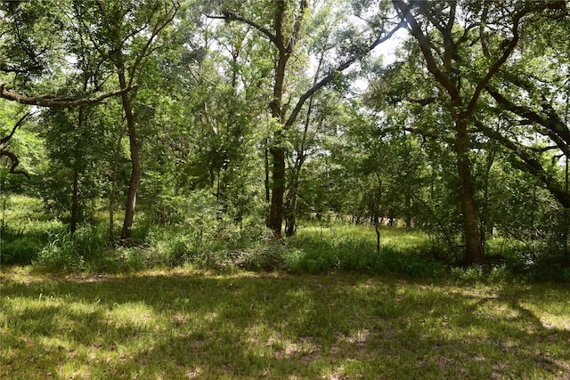 0 County Road 121, Rosharon, TX 77583 - photo 5