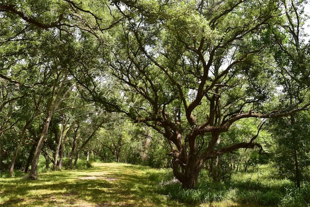 0 County Road 121, Rosharon, TX 77583 - photo 6