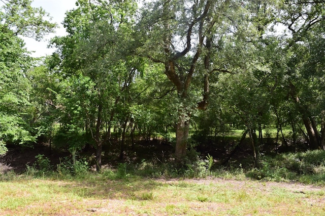 0 County Road 121, Rosharon, TX 77583 - photo 8