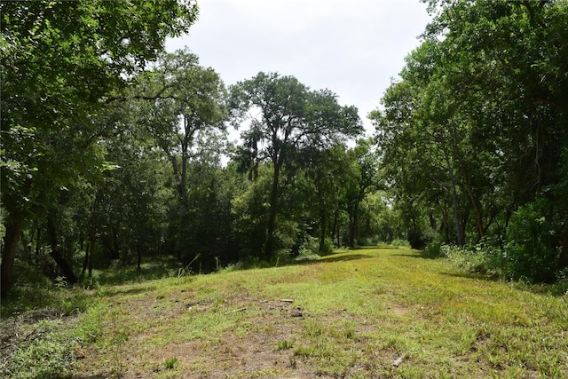 0 County Road 121, Rosharon, TX 77583 - photo 11